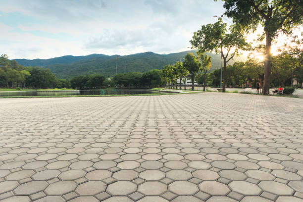 Best Affordable Driveway Pavers  in Lake Elmo, MN